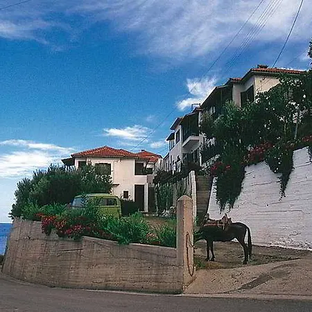 Panorama And Apartment *
